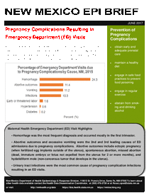 Photo of the health data cover.