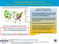 Photo of the health data cover.