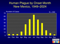 Photo of the health data cover.