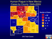 Photo of the health data cover.