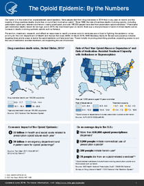 Photo of the health data cover.