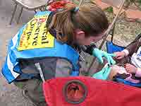 Photo of emergency personnel treating knee injury.