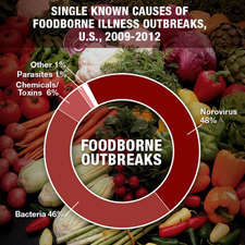 Graph of the causes of foodborne illness outbreaks.