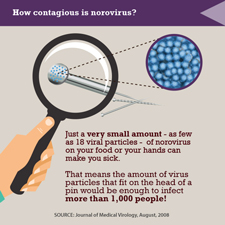 Infographic which illustrates the contagiousness of norovirus.