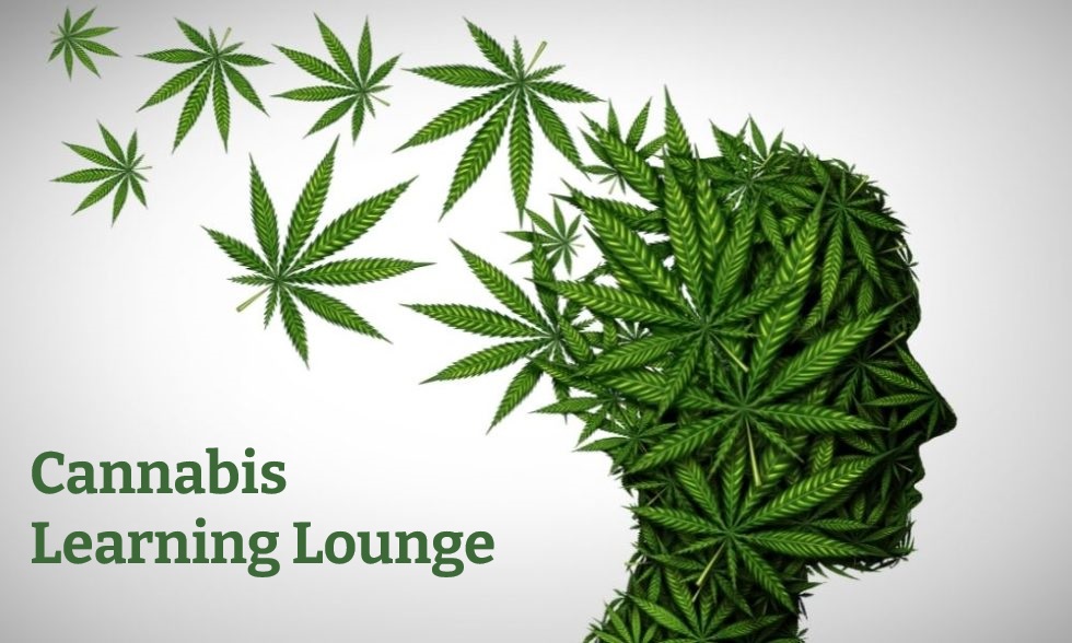 Cannabis Learning Lounge