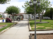 Rabbit Courtyard