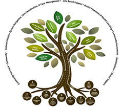 Tree describing the relationship of the many aspects of community health.