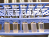 Serotyping for Salmonella H Poly groups, showing flocculation (or clumping) in the poly groups B and G.