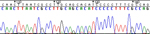 Sequence of DNA letters.