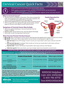 Photo of the publication cover.