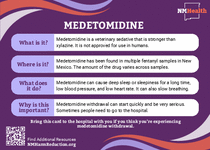 Photo of the publication cover.