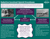 Photo of the publication cover.