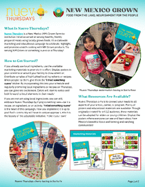 Photo of the publication cover.