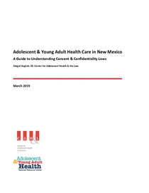 Photo of the publication cover.