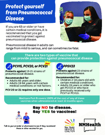 Pneumococcal public flyer (English)