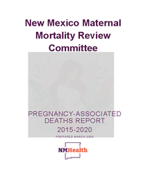 Photo of the publication cover.