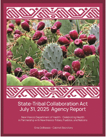Photo of the publication cover.