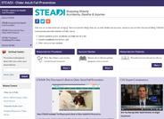 STopping Elderly Accidents, Deaths, and Injuries Toolkit