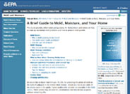 Mold, Moisture, and Your Home