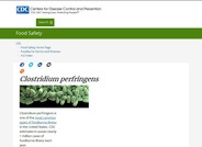 Clostridium perfringens