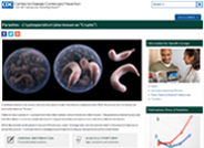 Cryptosporidiosis