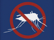 Public Health Confronts the Mosquito