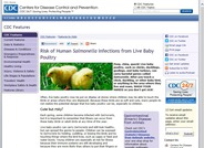 Risk of Human Salmonella Infections from Poultry