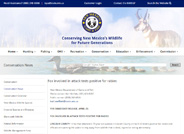 Fox Involved in Attack Tests Positive for Rabies