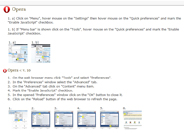 Enable Javascript in Opera Browser