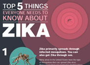 Top 5 Things to Know About Zika